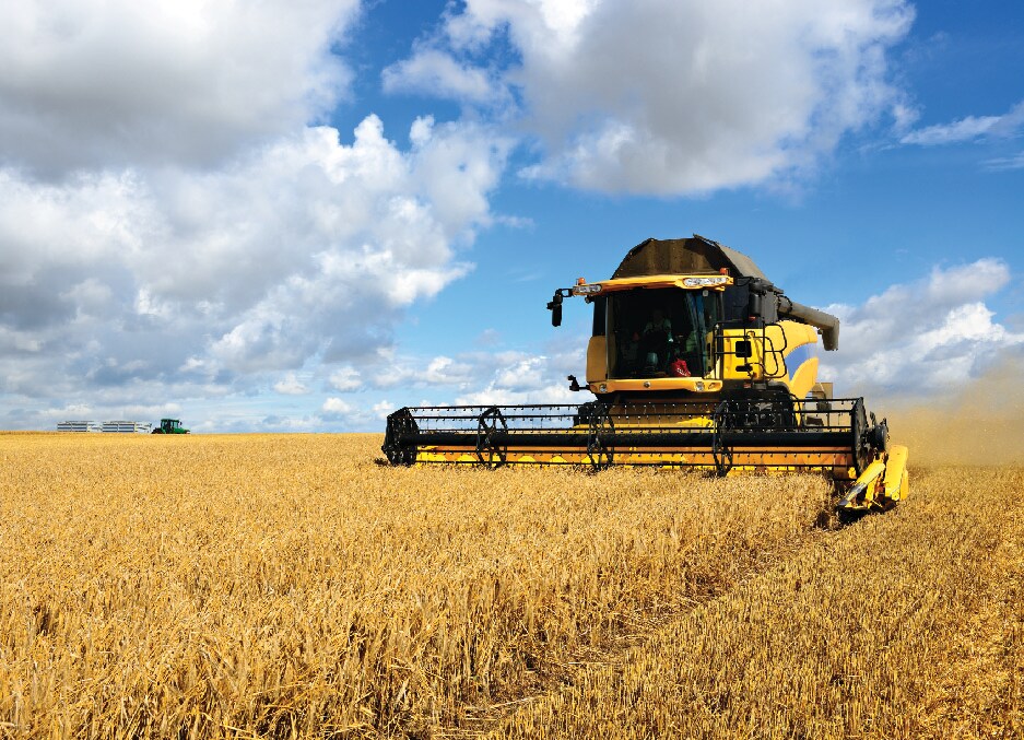 Agriculture